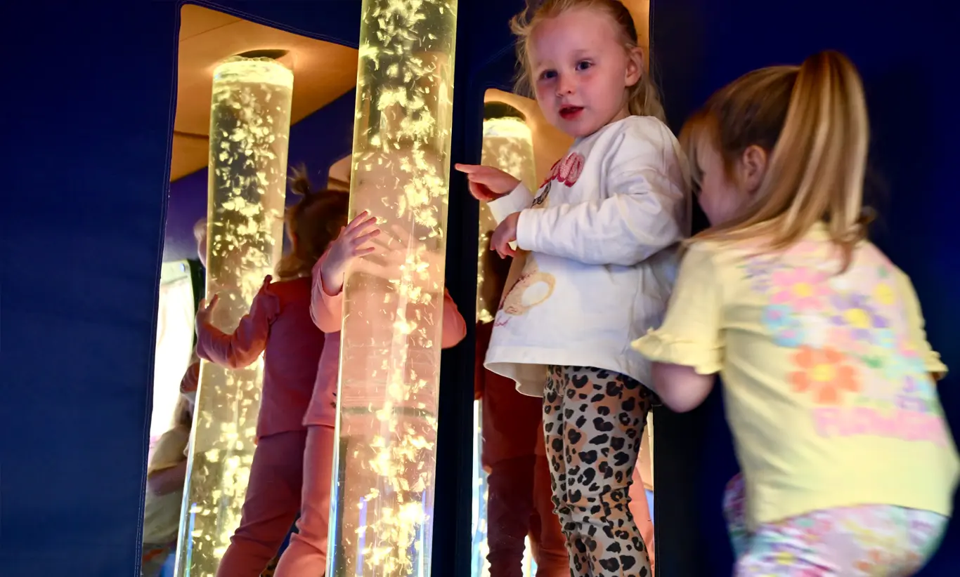 Sensory area